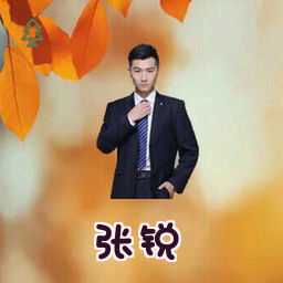 张锐
